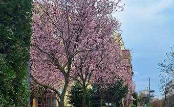 agencja nieruchomości Lublin
