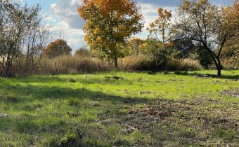 agencja nieruchomości Lublin