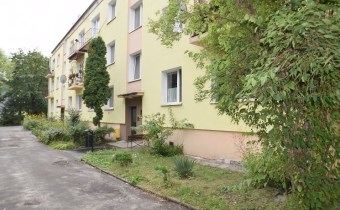 anma Lublin
