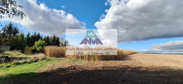 nieruchomości Lublin