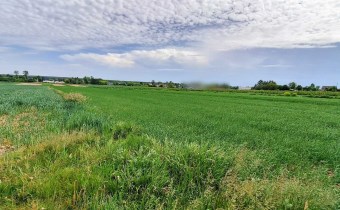 agencja nieruchomości Lublin