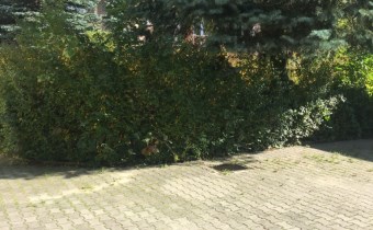 agencja nieruchomości Lublin