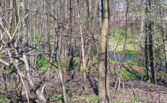 agencja nieruchomości Lublin