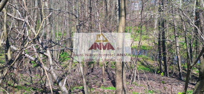 agencja nieruchomości Lublin